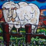 Schaap