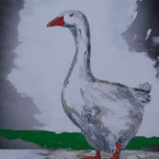 gans-2jpg