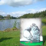Ankeveen 2