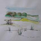 duinen Bakkum