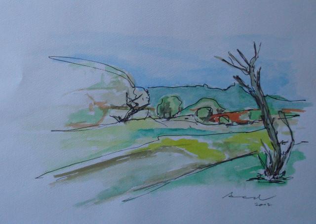 Bakkum duinen 1