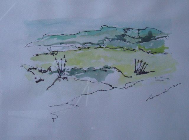 Duinen 3