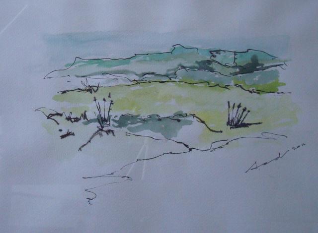 Duinen Bakkum 4