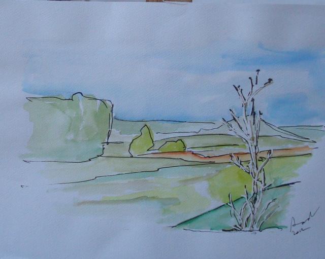 Duinen Bakkum 6