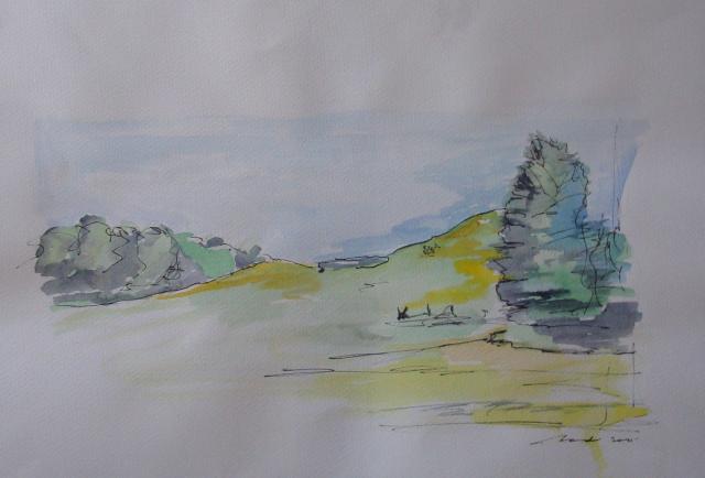 duinen Egmond