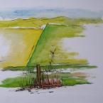 uitzicht op weilanden en duinen Bakkum.